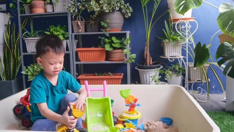 Benda di rumah sarang kuman