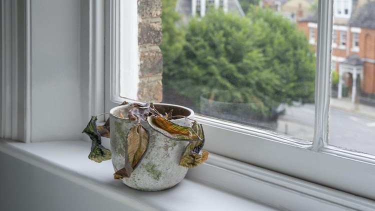 Ilustrasi tanaman mati