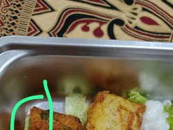 Menu MBG di Pandeglang Berisi Ulat, SPPG: Kelalaian Kami