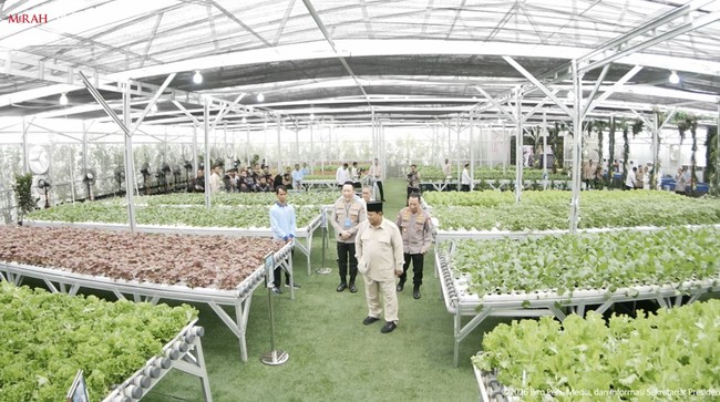 Pemerintah Bersiap Hadapi Potensi Krisis Iklim dan Pangan