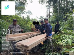 Polres Kuansing Bongkar Illegal Logging di Hutan Suaka Rimbang Baling