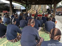 Pohon Beringin Tua Masjid Kotagede 2 Kali Ambruk, Abdi Dalem Gelar Sugengan
