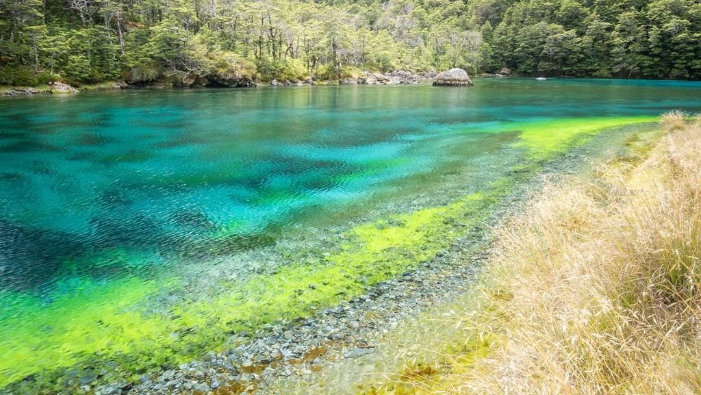 Danau Paling Jernih di Dunia, Airnya Dilarang untuk Disentuh