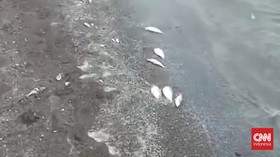 Nelayan Ngeluh Dampak Cemaran Sungai Cisadane: Banyak Ikan yang Mabuk