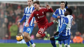 Gakpo dan Mac Allister Disebut Masuk Daftar Jual Liverpool