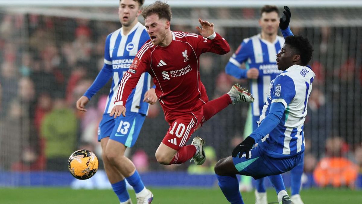 Gakpo dan Mac Allister Disebut Masuk Daftar Jual Liverpool