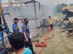 Kebakaran Kandang di Ngemplak Boyolali, Ribuan Ayam Terpanggang