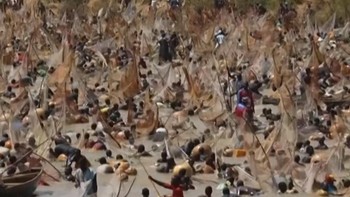 Ratusan Nelayan Nigeria Berebut Mobil Hadiah Festival Mancing Argungu