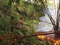 Berkat 110, Polisi-TNI-BPBD Gerak Cepat Padamkan Kebakaran Lahan di Riau