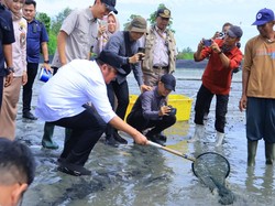 Pemprov Sumsel Dukung Infrastruktur Kelistrikan Tambak Udang di OKI