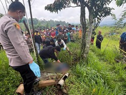 Petani Ditemukan Tewas di Sawah Toraja Utara, Kepala Bersimbah Darah