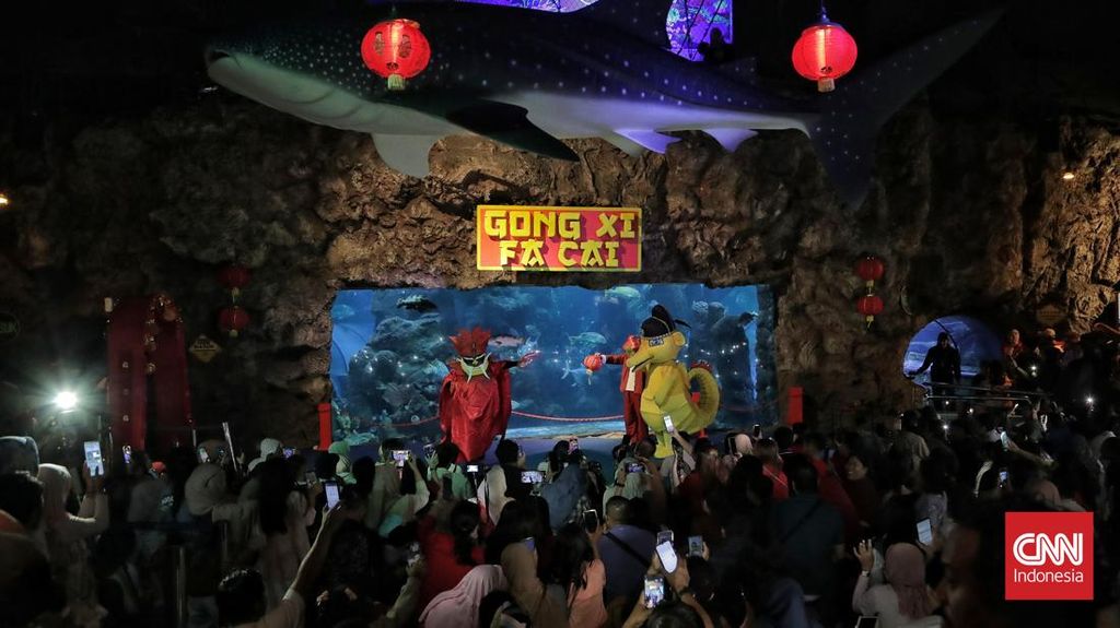 FOTO: Atraksi Barongsai Dalam Air Meriahkan Imlek di Sea World Ancol