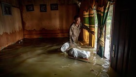 Banjir Demak Kepung 5 Desa, 2 Tanggul Jebol Masih Perbaikan