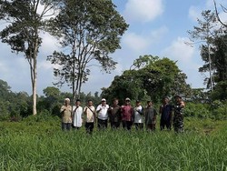 Tanam Trembesi di Ngarai Sianok, Tifatul Ajak Warga Cegah Longsor dan Banjir