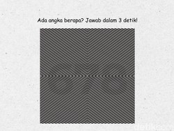 Jangan Terkecoh dengan Garis-Garisnya, Ada Angka Rahasia di Dalam Gambar Ini