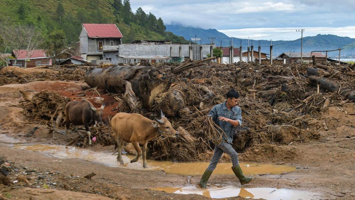 Usai Prabowo, Mahasiswa Kepolisian Kirim 70 Sapi ke Korban Banjir Aceh