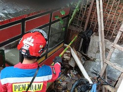 Anjing Terjepit Pagar di Penjaringan Jakut, Damkar Turun Tangan Evakuasi