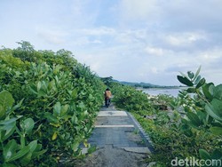 Pantai Lakey Tak Terurus, Sejumlah Fasilitas Rusak dan Ditumbuhi Semak Belukar