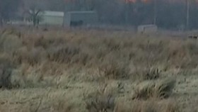 145 Ribu Hektare Hutan Hangus Dilahap Api Dekat Oklahoma AS