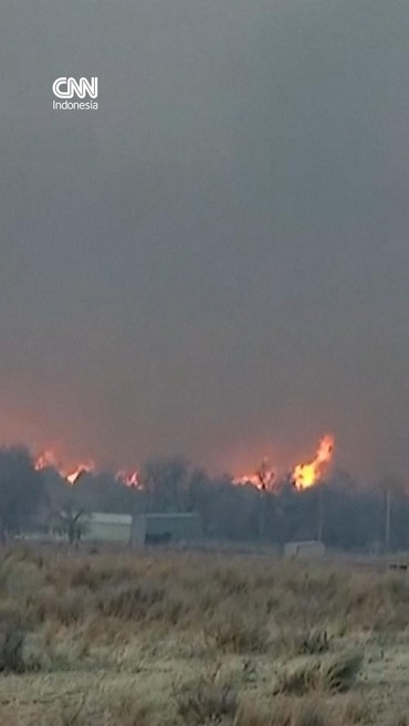 145 Ribu Hektare Hutan Hangus Dilahap Api Dekat Oklahoma AS