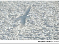 Urgensi Standar Kompas: Menakar Ketangguhan Pendidikan dalam Geografi Ekstrem