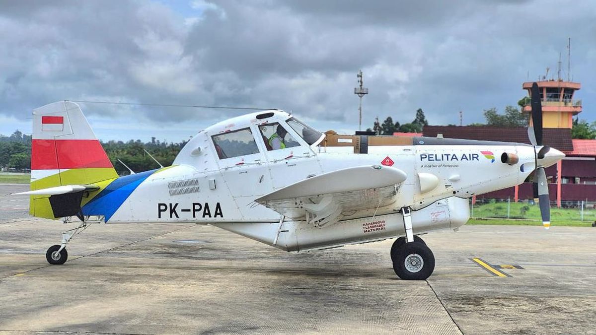 Pilot Pesawat Pelita Air Jatuh di Krayan Kalimantan Dikabarkan Selamat
