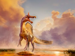 Spesies Dinosaurus Baru Ditemukan di Gurun Sahara