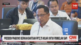 VIDEO: Pemerintah Berikan Bantuan Rp.72,75 Miliar Untuk Pembelian Sapi