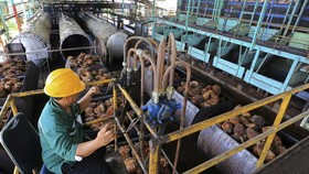 Karyawan memasukan Tanda Buah Segar (TBS) kelapa sawit kedalam mesin untuk pengolahan minyak sawit mentah atau crude palm oil (CPO) di salah satu pabrik minyak kelapa sawit milik PT.Karya Tanah Subur (KTS) Desa Padang Sikabu, Kaway XVI, Aceh Barat, A