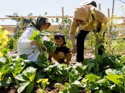 Terobosan Penanganan Sampah Setahun Kepemimpinan Wali Kota Farhan