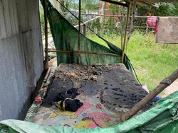 Pria Bima Dibakar Ibu Kandung Saat Tidur di Sumbawa