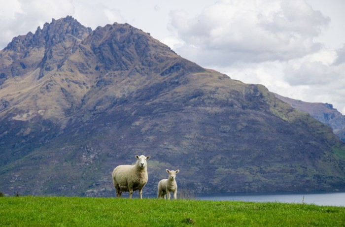 Negara belahan selatan memiliki durasi puasa hingga 15 jam. Panjang siang di wilayah tersebut berubah sepanjang bulan Ramadan./ Foto: freepik.com/wirestock