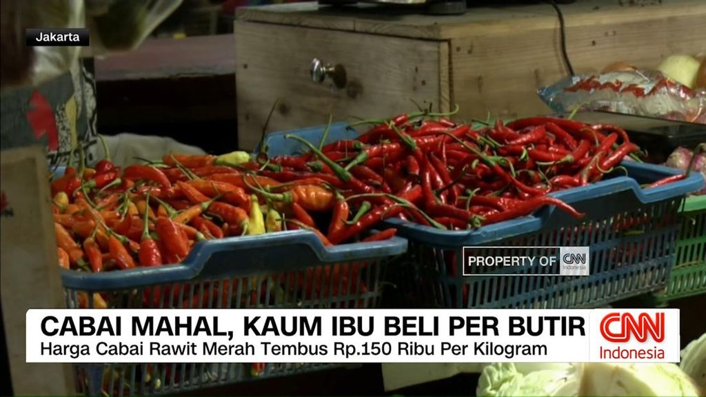 VIDEO: Cabai Mahal, Ibu-ibu Beli Per Butir hingga Kebun Cabai Dijaga