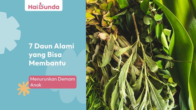 7 Daun Alami yang Bisa Membantu Menurunkan Demam Anak