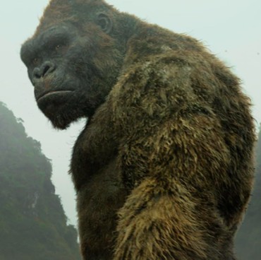 Sinopsis 'Kong: Skull Island', Tayang di Blockbuster Sahur Movie Trans TV