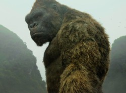 Sinopsis 'Kong: Skull Island', Tayang di Blockbuster Sahur Movie Trans TV