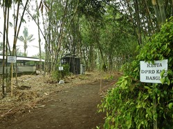 Upaya Desa Adat di Bangli Konservasi Pohon Langka Kaliasem dan Majegau
