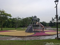 Taman Salak Kuning: Transformasi Sebuah Rawa Menjadi Bukit Teletubbies