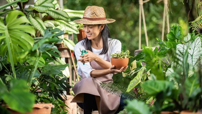 Berkebun dapat mengatasi stres/Foto: Freepik.com
