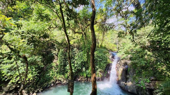 Tebing T-Rex dan Air Terjun Kroya Jadi Lokasi Ajang Cliff Diving Internasional