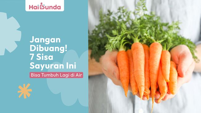 Jangan Dibuang! 7 Sisa Sayuran Ini Bisa Tumbuh Lagi di Air