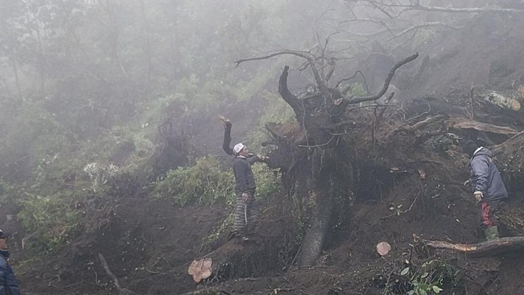 Longsor di Kawasan Bromo, Sejumlah Kendaraan Tertimbun