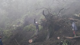 Longsor di Kawasan Bromo, Sejumlah Kendaraan Tertimbun