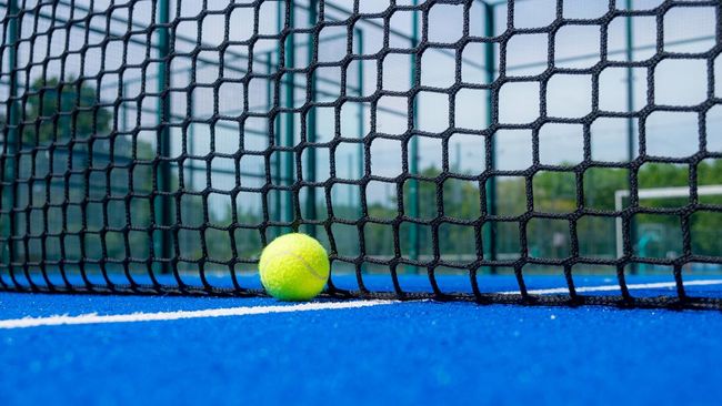 Warga vs Lapangan Padel Pulomas Dimenangi oleh Warga, Apa Keputusan PTUN?