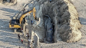 FOTO: Bangkai Paus Sperma Raksasa Terdampar di Dekat Jalur Gaza