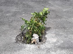 Parah! Sejumlah Ruas Jalan di Wonosari Sengaja Dilubangi