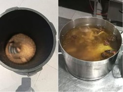 Hidangkan Trenggiling ke Turis, Resor di Malaysia Digrebek Polisi