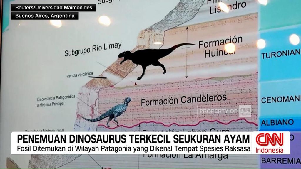 VIDEO: Penemuan Dinosaurus Terkecil Seukuran Ayam di Argentina