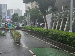 Ada Pohon Tumbang di Jl Sudirman, Kendaraan Hanya Bisa Lewat 1 Lajur