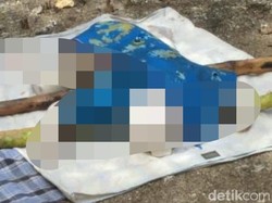 Mayat Balita Ditemukan di Pulau Moyo Sumbawa, Diduga Hanyut dari Lombok Timur